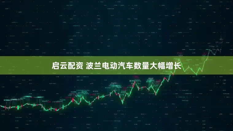 启云配资 波兰电动汽车数量大幅增长