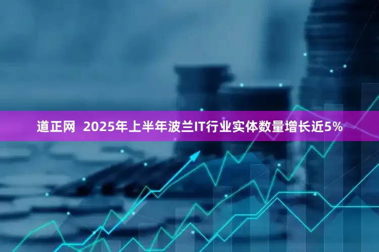 道正网  2025年上半年波兰IT行业实体数量增长近5%