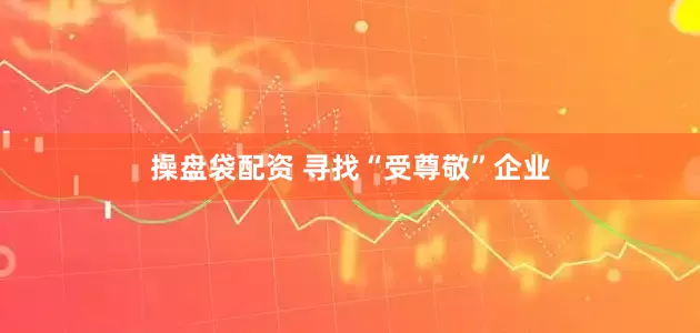 操盘袋配资 寻找“受尊敬”企业